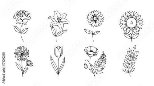Artistic botanical line drawings collection featuring diverse delicate flower stems and leaves silhouette