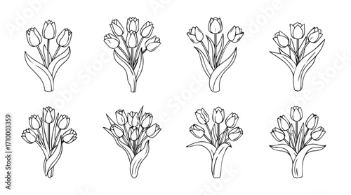 Collection of hand drawn tulip bouquets elegant sketch botanical flower arrangements for design silhouette