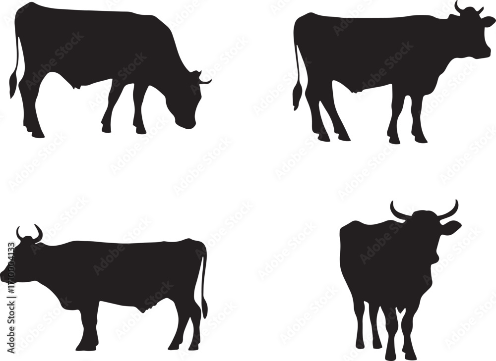 Fototapeta premium Set of Cow silhouette isolated on white