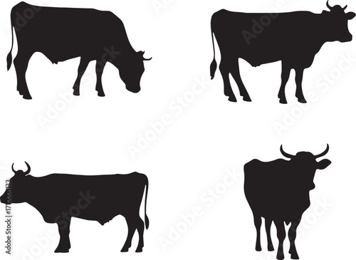 Set of Cow silhouette isolated on white