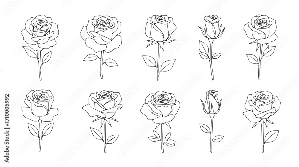 Naklejka premium Collection of hand drawn rose illustrations in sketch style with detailed petals and stems on white silhouette