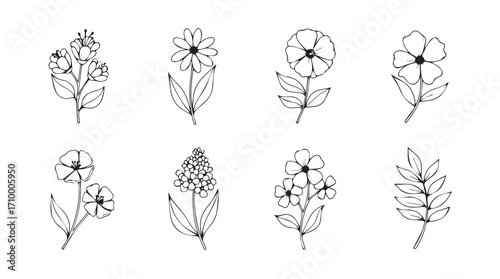 Hand drawn botanical line art collection delicate floral elements for design projects silhouette