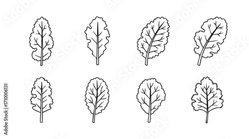 Collection of hand-drawn botanical leaf silhouettes with sketchy outline style for design silhouette