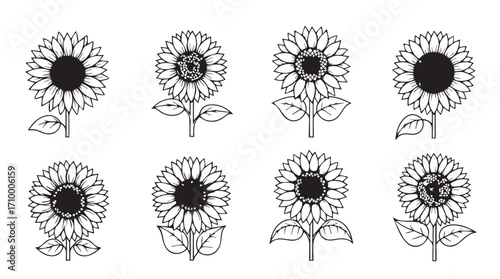 Collection of hand drawn sunflower illustrations various styles botanical art nature elements decorative floral design silhouette