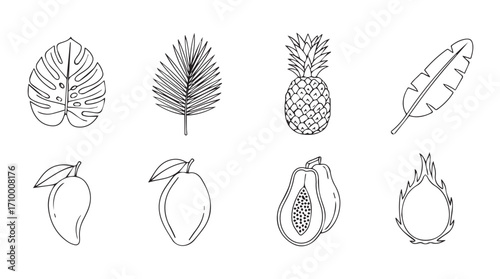 Hand drawn tropical fruits and leaves sketch set for exotic design elements silhouette