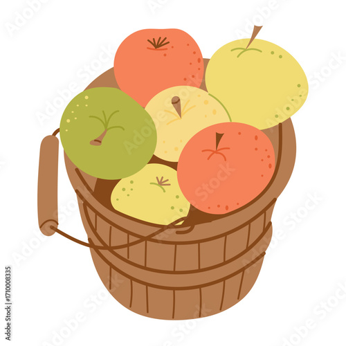 Wooden bucket filled with red, yellow and green apples in a flat hand drawn style. Concept of harvest, organic farming and seasonal fruit collection