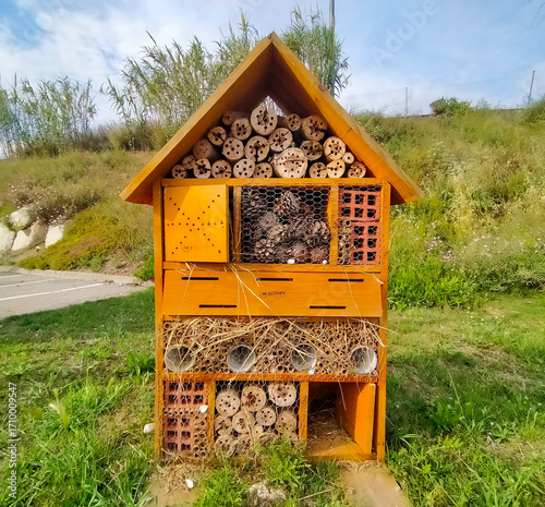 house in the woods
Insect hotel in an urban area