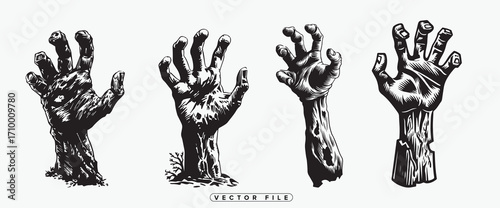 Four detailed illustrations of skeletal hands in various positions