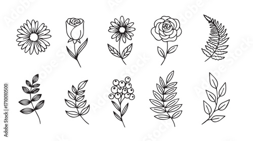 Set of delicate hand drawn botanical elements floral leaves and flowers sketch style silhouette