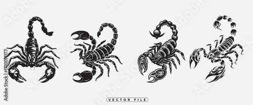 Vintage illustration displaying four intricately detailed black scorpion designs