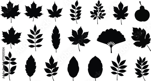Collection of diverse deciduous leaf silhouettes in black and white