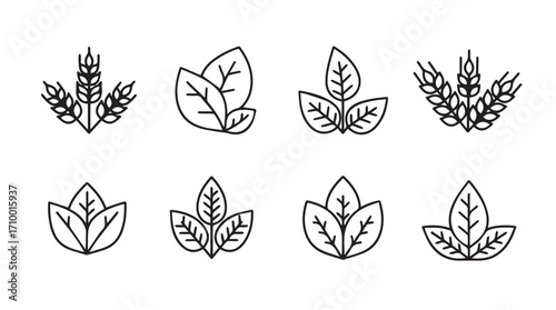 Set of organic food icons wheat and leaves representing natural healthy ingredients collection silhouette