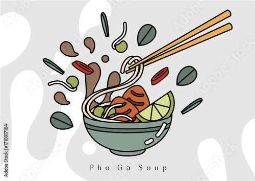 Pho ga vietnamese chiken soup