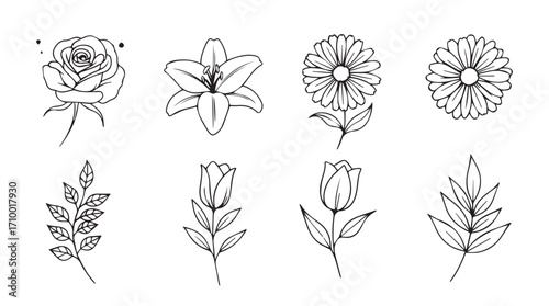 Hand drawn watercolor floral elements collection botanical nature designs for elegant artistic applications silhouette