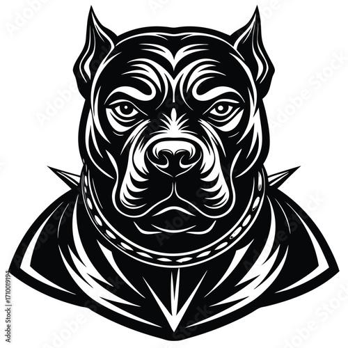 A bold black‑and‑white illustration of a muscular pit bull with cropped ears, a spiked collar, and a fierce, intense expression, drawn in a sharp, high‑contrast graphic style.