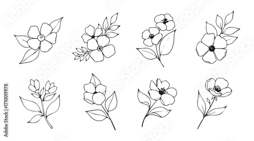 Set of delicate hand-drawn floral sprigs and botanicals for artistic design elements silhouette