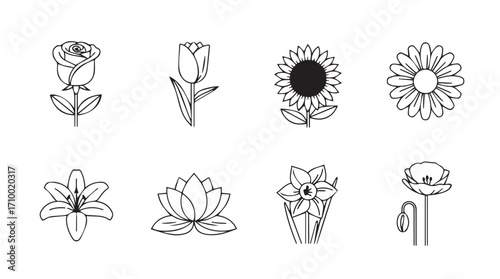 Collection of delicate hand-drawn floral elements botanical sketches for design projects silhouette
