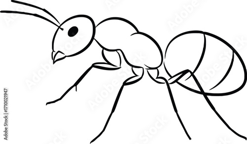 Ant drawing simple vector illustration for kids coloring page