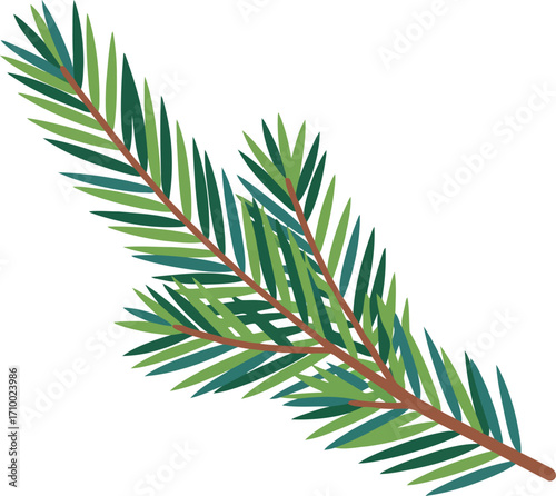 Evergreen pine branch isolated natural christmas holiday element vector