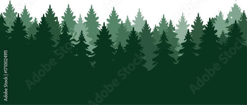 Evergreen forest landscape silhouette serene woodland nature scene vector