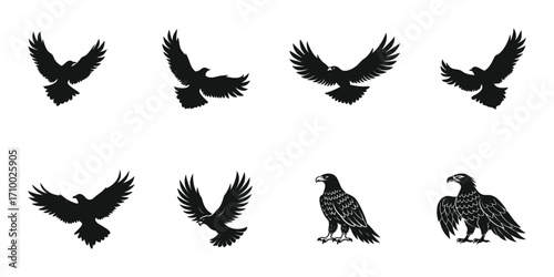 Eagle silhouette vector collection for wild bird, freedom, mascot, and symbol design.