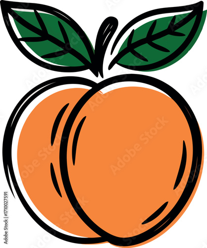 Hand drawn peach with leaves fresh fruit illustration vibrant summer food art vector