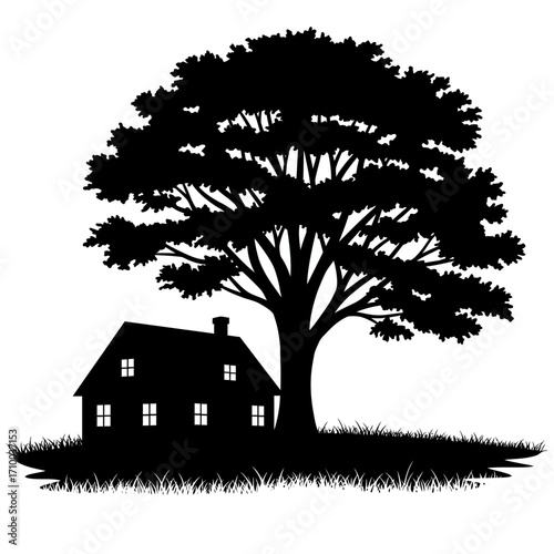 Silhouette of a charming house nestled under the sprawling branches of a large mature tree