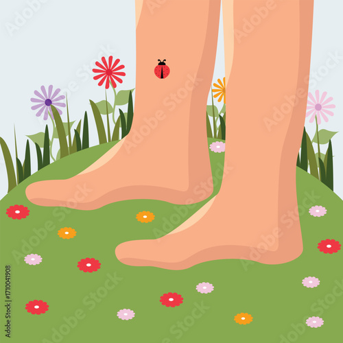Woman legs on green grass with  flowers. woman walk barefoot on fresh green grass Vector  illustration