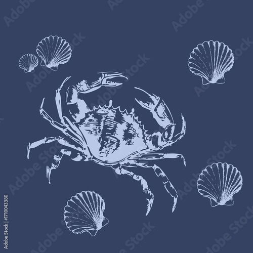 set of sea shells and crab