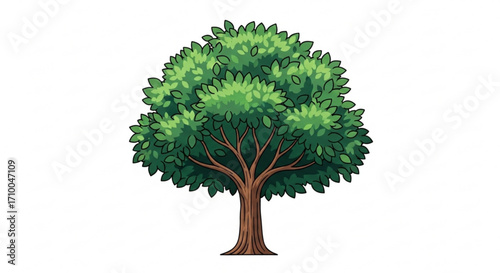 Illustration of a lush green tree, showcasing its full canopy and sturdy trunk in a detailed vector drawing