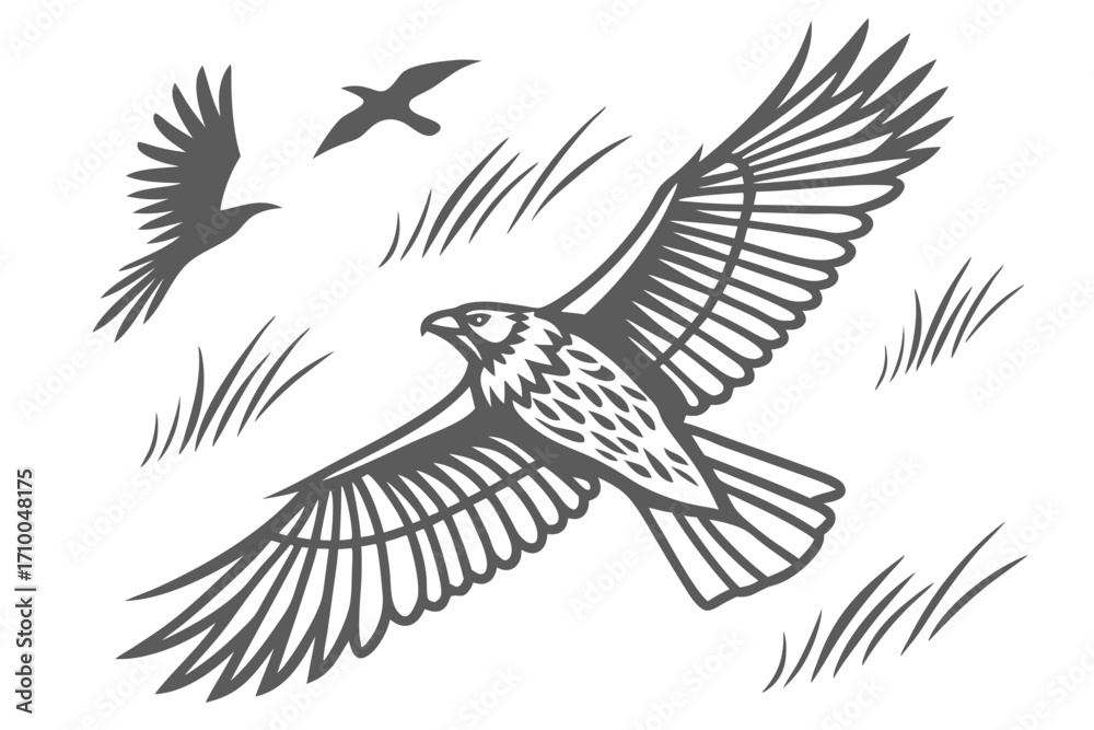 Obraz premium set of vector birds