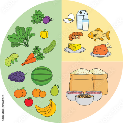 Balanced Diet Food Groups Illustration – Fruits, Vegetables, Grains, Protein, and Dairy.
