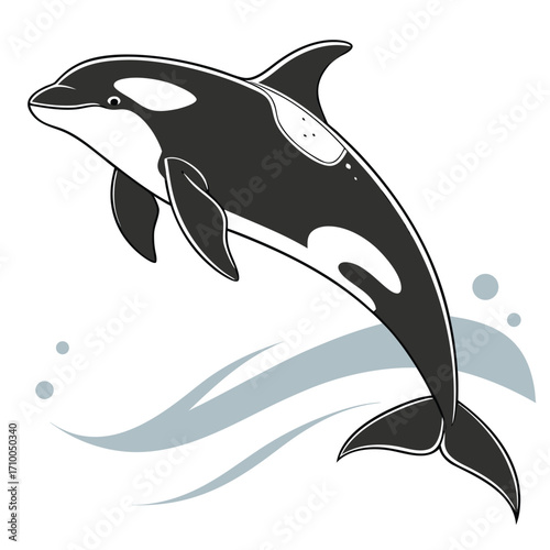 Playful Orca Whale with Iconic Eye Patch Vector

