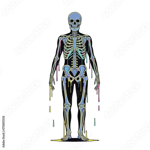 Vibrant human skeleton illustration with colorful dripping bones on a white background, showcasing an artistic and abstract anatomical representation.