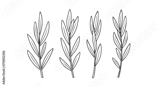 Four stylized botanical illustrations of wheat stalks in silhouette