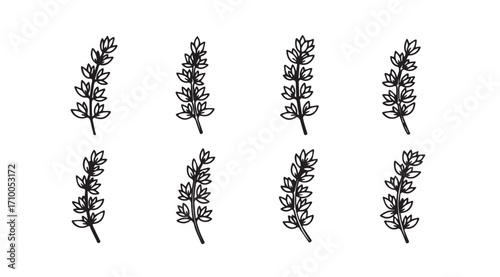 Collection of delicate hand drawn botanical sprigs in silhouette