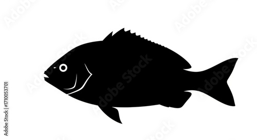 Black silhouette of a fish simple vector illustration of a common fish with fins and tail in black color