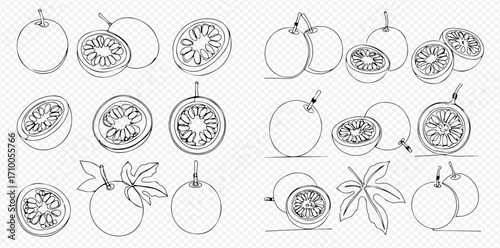 Continuous line art illustrations of whole and sliced passion fruit with leaves, showcasing tropical fruit elements.