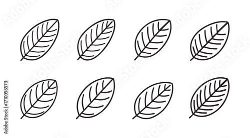Eight simple outline drawings of oval shaped leaves in a silhouette pattern