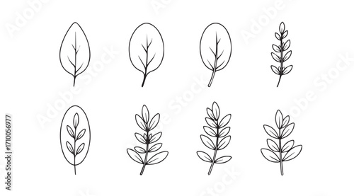 Collection of hand drawn botanical leaf and branch silhouettes