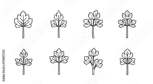 Collection of delicate hand drawn leaf silhouettes in a repeating pattern