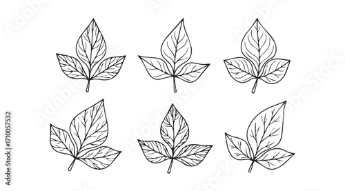 Six detailed ivy leaf silhouettes arranged in two rows