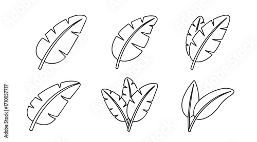 Collection of six hand drawn banana leaf silhouettes in a minimalist style