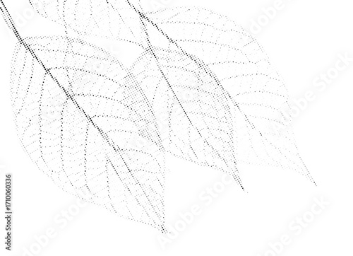 Skeleton dry leaves in dotted halftone pattern vector illustration.