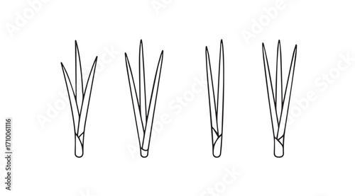 Four stylized silhouette illustrations of grass blades or reeds