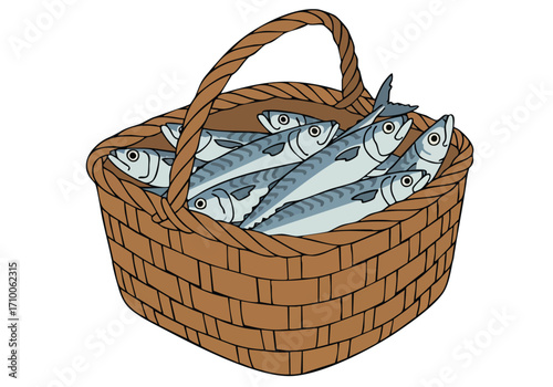 A rustic wicker basket overflows with silvery mackerel. A charming, detailed illustration evokes a bountiful catch. Perfect for seafood, coastal, or nature themes.