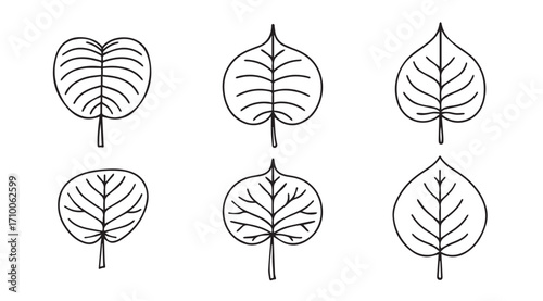 Six hand drawn leaf silhouettes with vein details in a grid layout silhouette