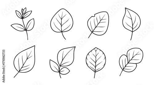 Collection of hand drawn leaf silhouettes in a sketchy outline style