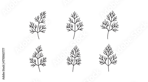 Six delicate botanical illustrations of feathery plants in a minimalist silhouette style
