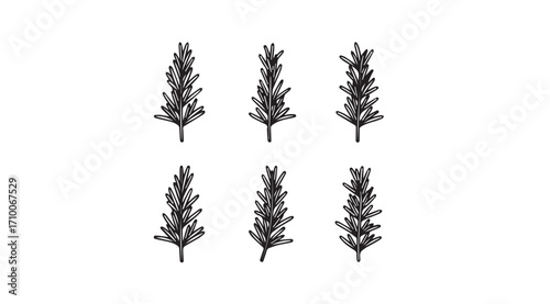 Six delicate botanical illustrations of lavender sprigs in a simple silhouette style
